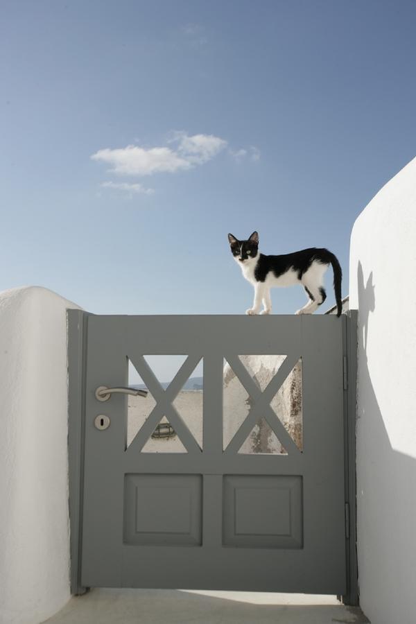 White Suite Oia Exterior foto